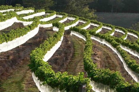 Photo of property in 208 Pukeora Scenic Road, Waipukurau, 4281