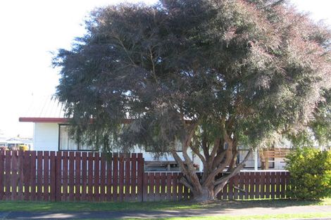 Photo of property in 3 Flemington Place, Nawton, Hamilton, 3200