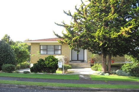 Photo of property in 15 Hillcrest Street, Tirau, 3410