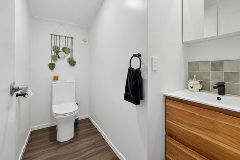 Photo of property in 91 Te Ahu Road, Pukekawa, Tuakau, 2696