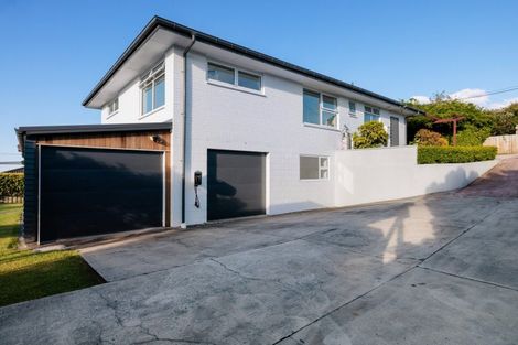 Photo of property in 156 Hinewa Road, Otumoetai, Tauranga, 3110