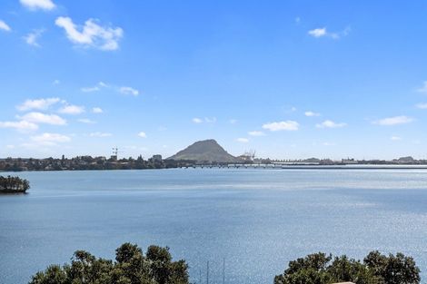 Photo of property in 31 Ririnui Place, Maungatapu, Tauranga, 3112