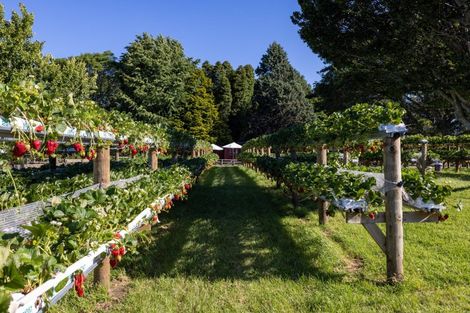 Photo of property in 529b Te Puke Highway, Te Puke, 3187