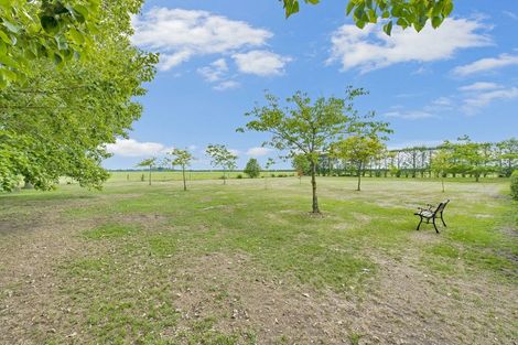 Photo of property in 15 Stewarts Road, Leeston, 7682