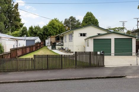 Photo of property in 77 Peacockes Road, Fitzroy, Hamilton, 3206