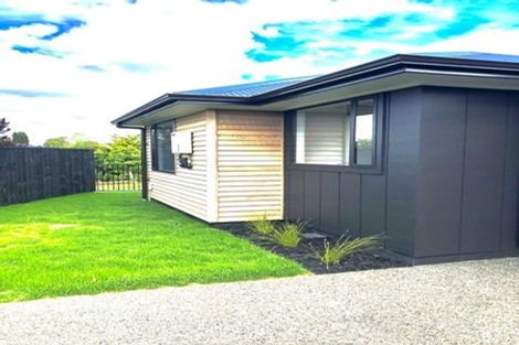 Photo of property in 38u2 Hinton Avenue, Forest Lake, Hamilton, 3200