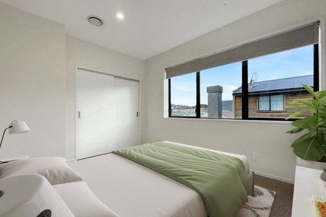 Photo of property in Aniva Terrace, 21 Arney Street, Newtown, Wellington, 6021