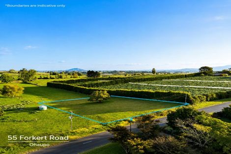 Photo of property in 55 Forkert Road, Ohaupo, 3803