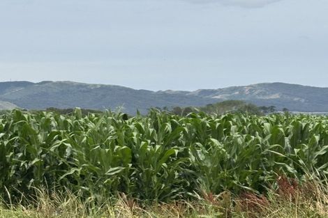 Photo of property in 3a Kitson Road, Aka Aka, Waiuku, 2682