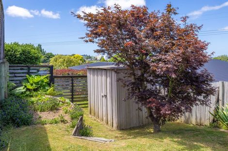 Photo of property in 107 George Melrose Drive, Te Awamutu, 3800