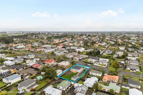 Photo of property in 17 Hinau Street, Maeroa, Hamilton, 3200