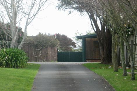 Photo of property in 38 Tuiti Street, Waitara, 4320