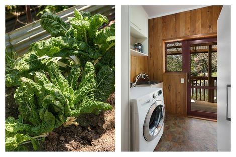 Photo of property in 26 Tapu Coroglen Road, Tapu, Thames, 3575