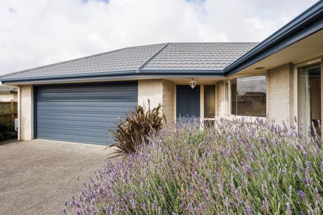Photo of property in 23 Rose Place, Awapuni, Palmerston North, 4412