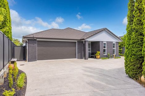 Photo of property in 6 Peter Way Place, Glenview, Hamilton, 3206