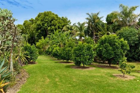 Photo of property in 166a Rimmer Road, Helensville, 0875