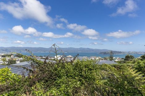 Photo of property in 33 Ranui Crescent, Khandallah, Wellington, 6035