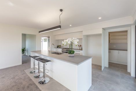 Photo of property in 100 Jean Archie Drive, Rolleston, 7614