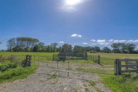 Photo of property in 59 Mahua Road, Feilding, 4777