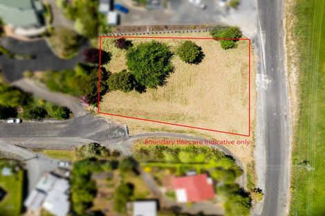 Photo of property in 19 Castle Street, Waihola, Milton, 9073