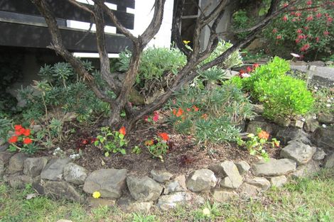 Photo of property in 6f2 Whaui Street, Vogeltown, Wellington, 6021