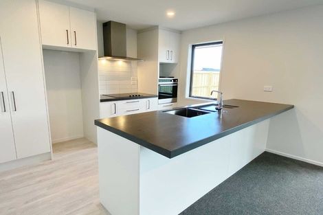 Photo of property in 8 Hollows Lane, Rolleston, 7615