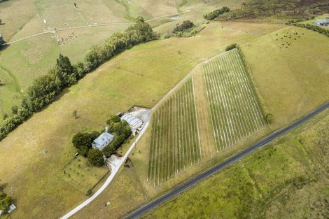 Photo of property in 6 Hamilton Road, Warkworth, 0982