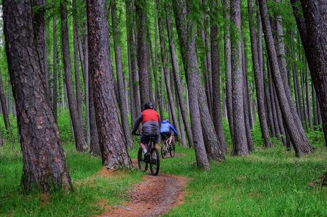 Photo of property in Jacks Pass Road, Hanmer Springs, 7334