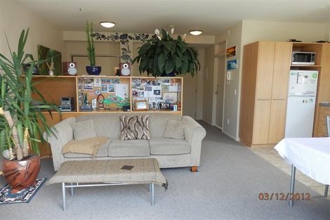 Photo of property in 6/7 Hanson Street, Mount Cook, Wellington, 6021