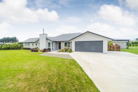 Photo of property in 60 Wapiti Avenue, Feilding, 4775