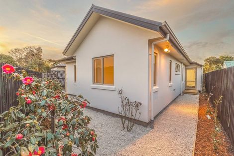 Photo of property in 4/15 Derrett Place, Saint Martins, Christchurch, 8022