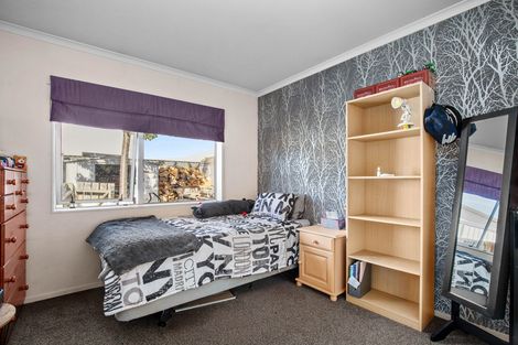 Photo of property in 25 Briar Crescent, Alexandra, 9320