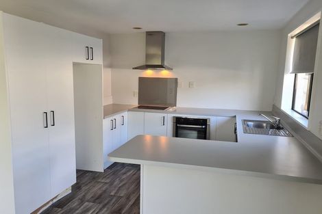 Photo of property in 53 Diamond Avenue, Spreydon, Christchurch, 8024