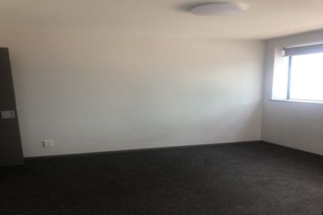 Photo of property in Dual Apartments, 301/142u Vivian Street, Te Aro, Wellington, 6011