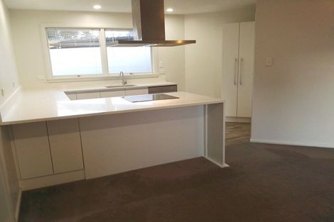 Photo of property in 5 Ketton Place, St Albans, Christchurch, 8052