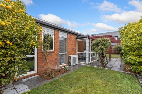 Photo of property in 127 Colombo Street, Sydenham, Christchurch, 8023