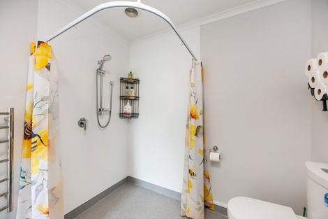 Photo of property in 17 Mccrae Place, Ashhurst, 4810