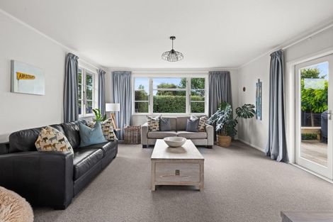 Photo of property in 909 Churchill Street, Akina, Hastings, 4122