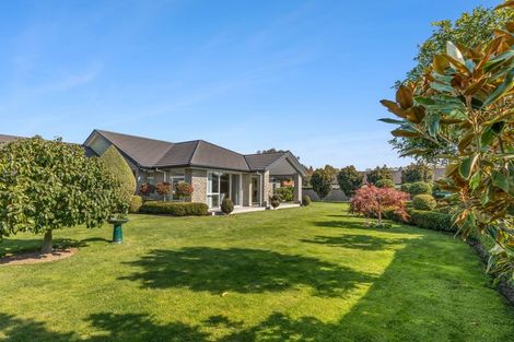 Photo of property in 11 Richardson Road, Matamata, 3400