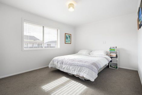 Photo of property in 58 Aurora Terrace, Hillcrest, Hamilton, 3216