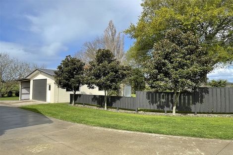 Photo of property in 219 Mangaorongo Road, Otorohanga, 3972