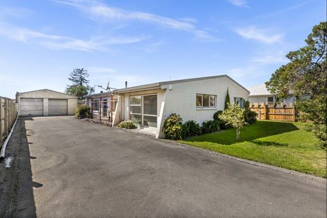 Photo of property in 309 Frederick Street, Mahora, Hastings, 4120