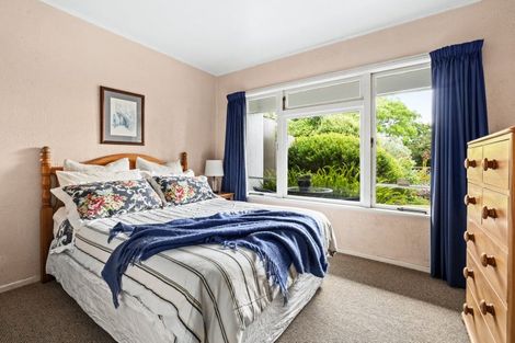 Photo of property in 59a Middle Road, Havelock North, 4130