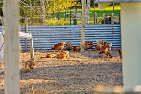 Photo of property in 202 Muriwai Valley Road, Muriwai, Waimauku, 0881