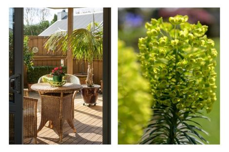 Photo of property in 47r Hollister Lane, Ohauiti, Tauranga, 3112