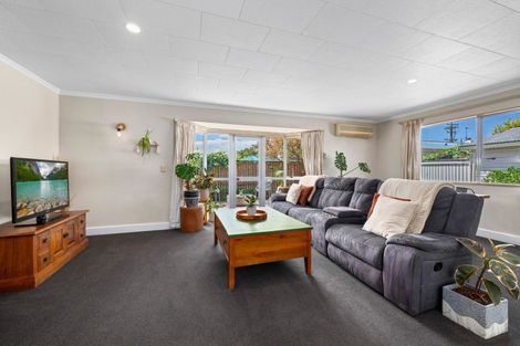 Photo of property in 136a Howick Road, Redwoodtown, Blenheim, 7201