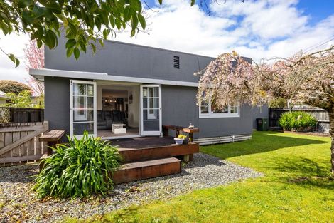 Photo of property in 84 Rimu Street, Maeroa, Hamilton, 3200