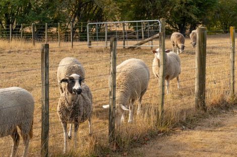 Photo of property in 348b Francis Line, East Taratahi, Carterton, 5792