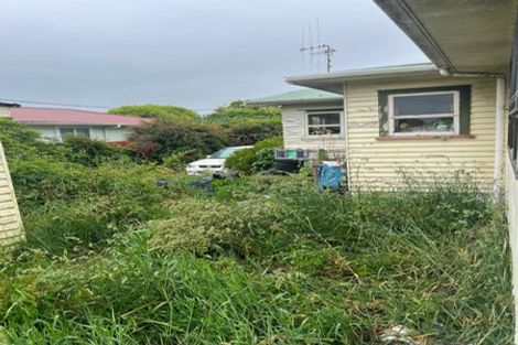 Photo of property in 21 Ferguson Street, Levin, 5510