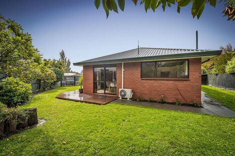 Photo of property in 12 Esher Place, Saint Martins, Christchurch, 8022